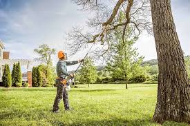 Lawn Irrigation Installation and Maintenance in Grape Creek, TX